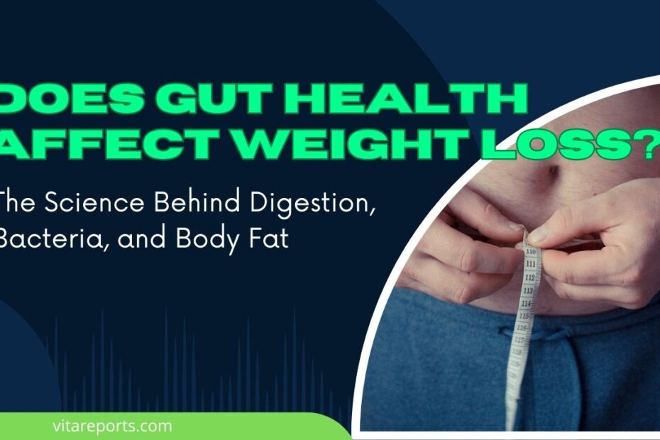Does Gut Health Affect Weight Loss? The Science Behind Digestion, Bacteria, and Body Fat