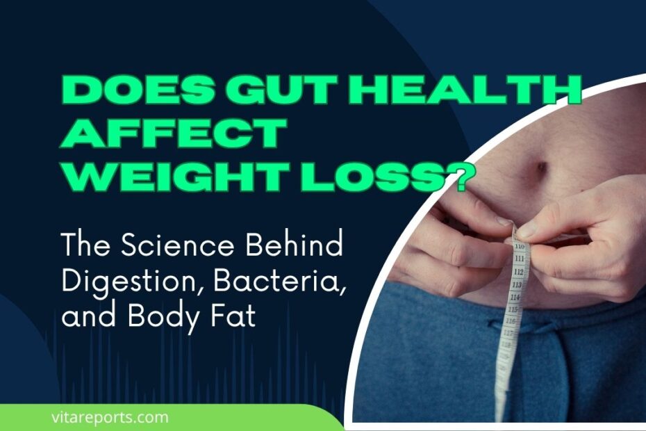 Does Gut Health Affect Weight Loss? The Science Behind Digestion, Bacteria, and Body Fat