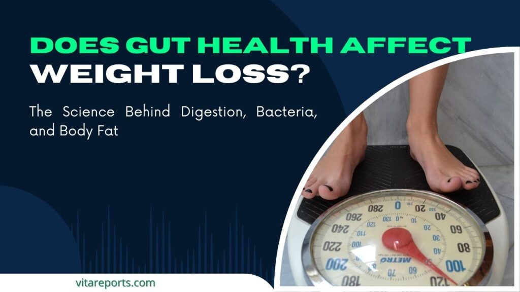 Does Gut Health Affect Weight Loss? The Science Behind Digestion, Bacteria, and Body Fat